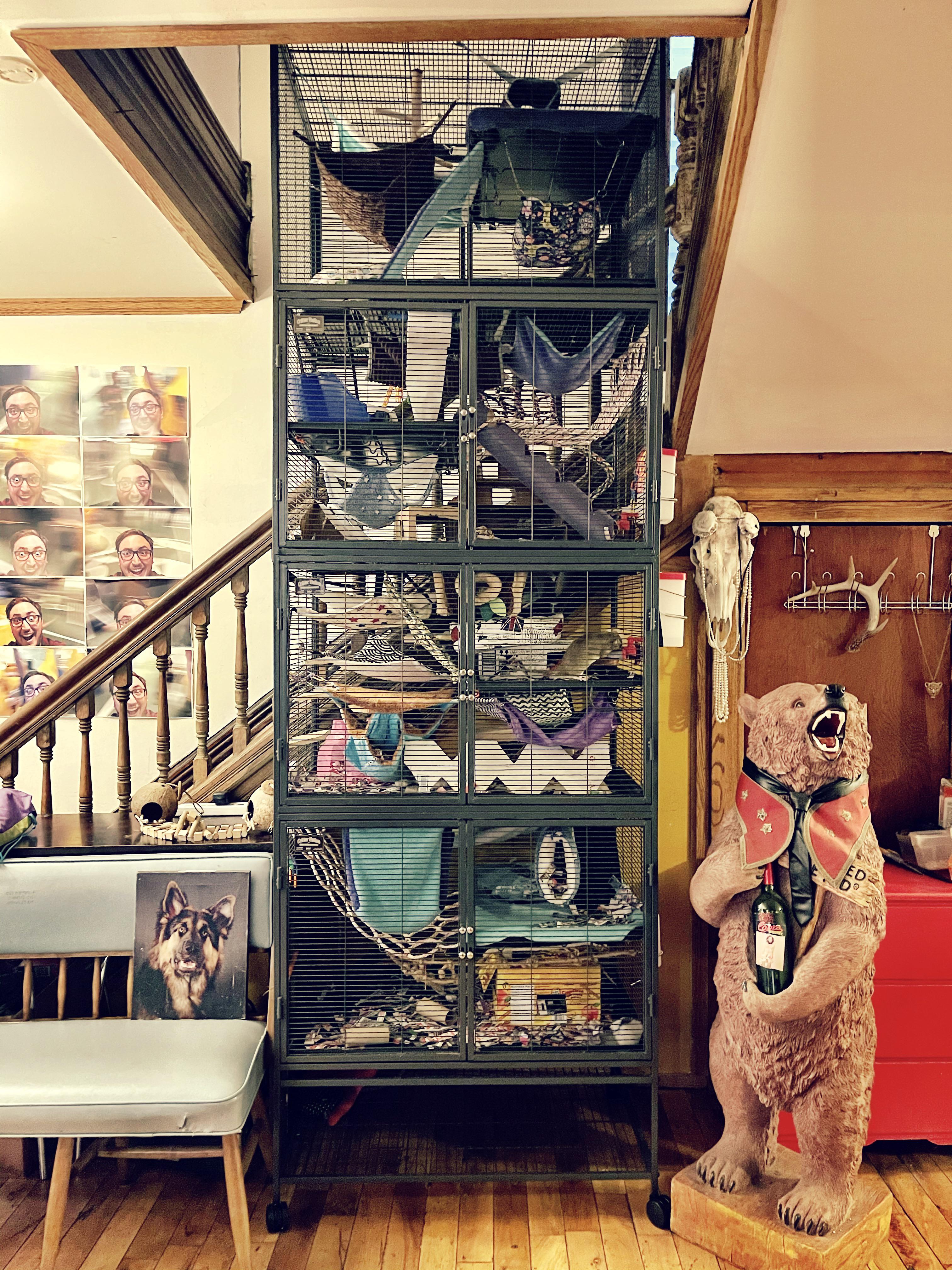 If anyone was wondering if you could add a 4th addition to your CritterNation Deluxe Cage, here is your answer.