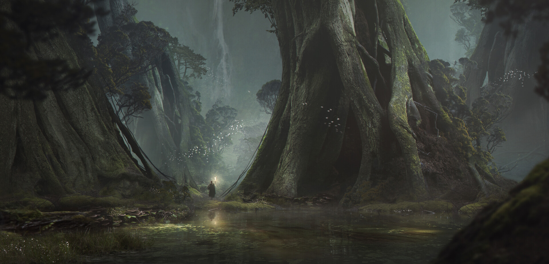 Secret Forest by Julian Calle