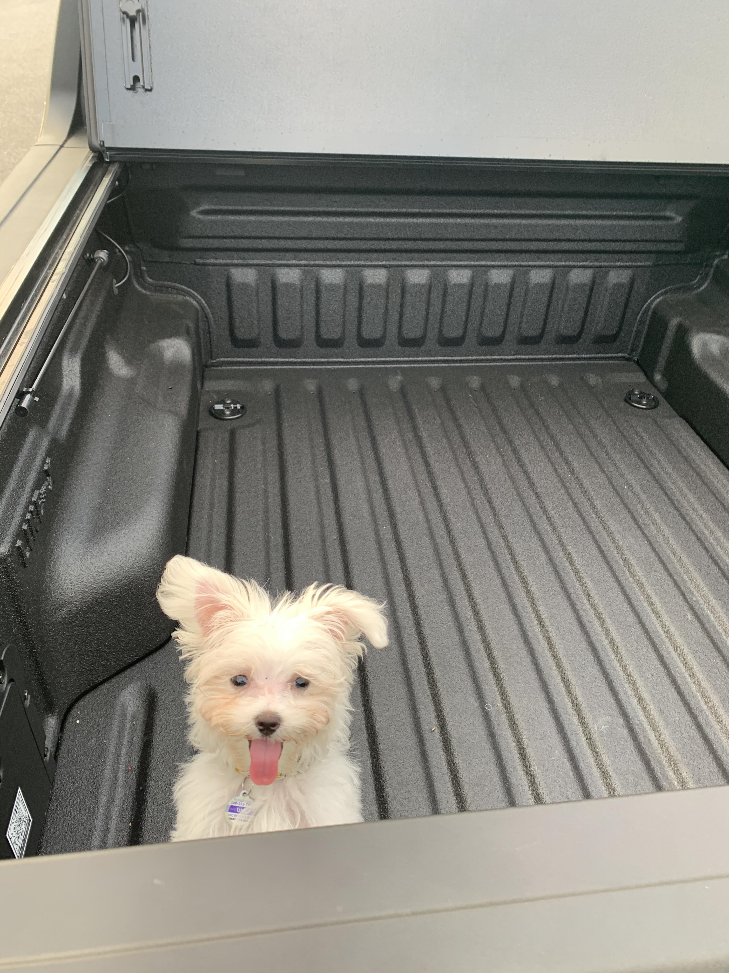 I got a truck just for this