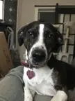 The look of love ❤️