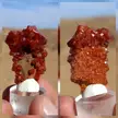 Vanadinite 2 faces same Mineral,Mibladen,Morocco 🇲🇦[OD]