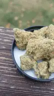 Yoda OG nugs