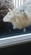 This is how I woke up 🤷