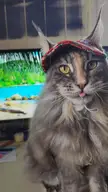 Dressed and ready to ring in the New Year