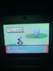 [Gen 3] Shiny Mew in Pokemon Emerald (jap) in 30742 run away. Im so happy !!!!!