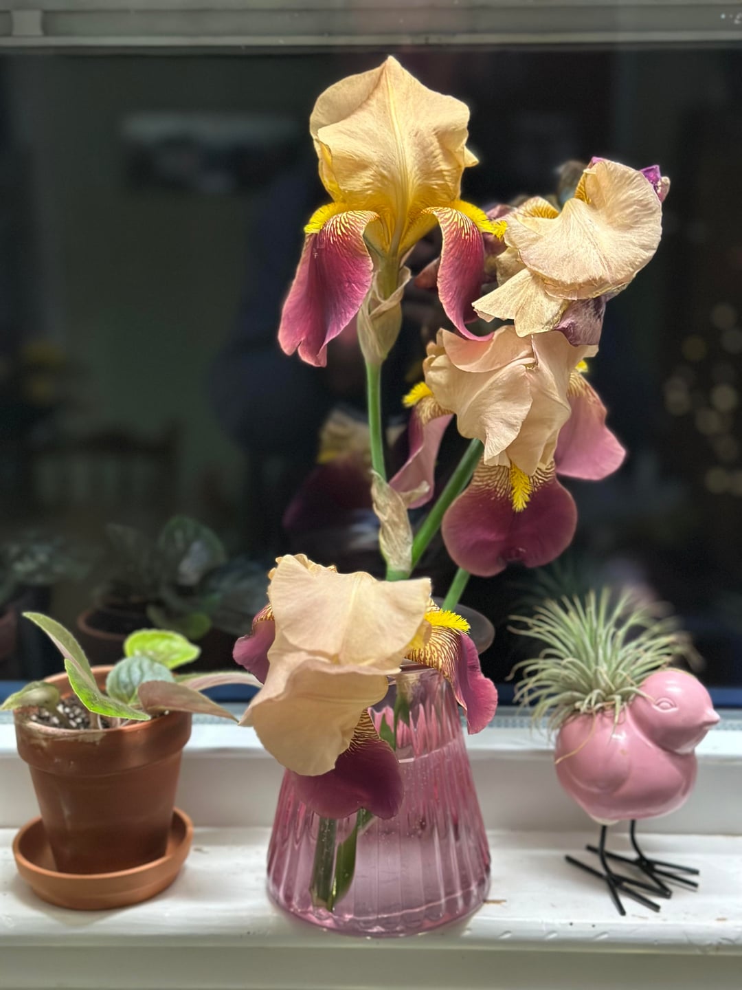 gardenporn