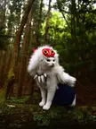 Princess Meownonoke