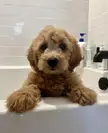 First Bath!