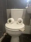 TOILET GANG