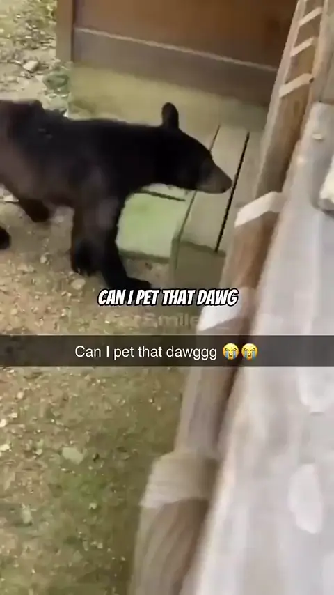 Can I pet that dawg