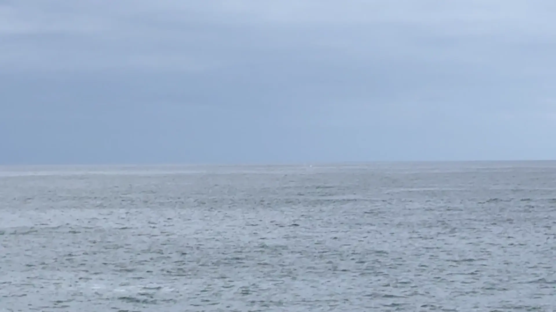 Can someone help me identify this?