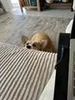 Can we walk now? And now?