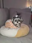 Can't say no to this face 