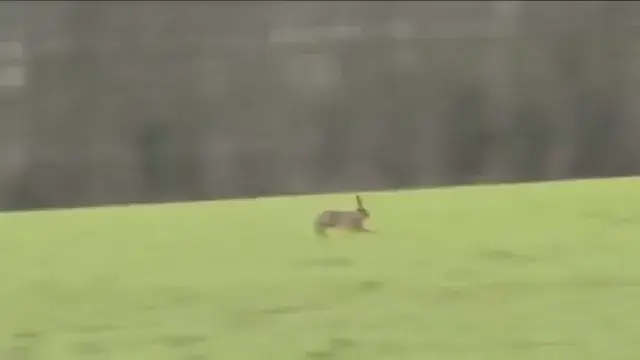 Can't Touch This