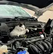 Car mechanic