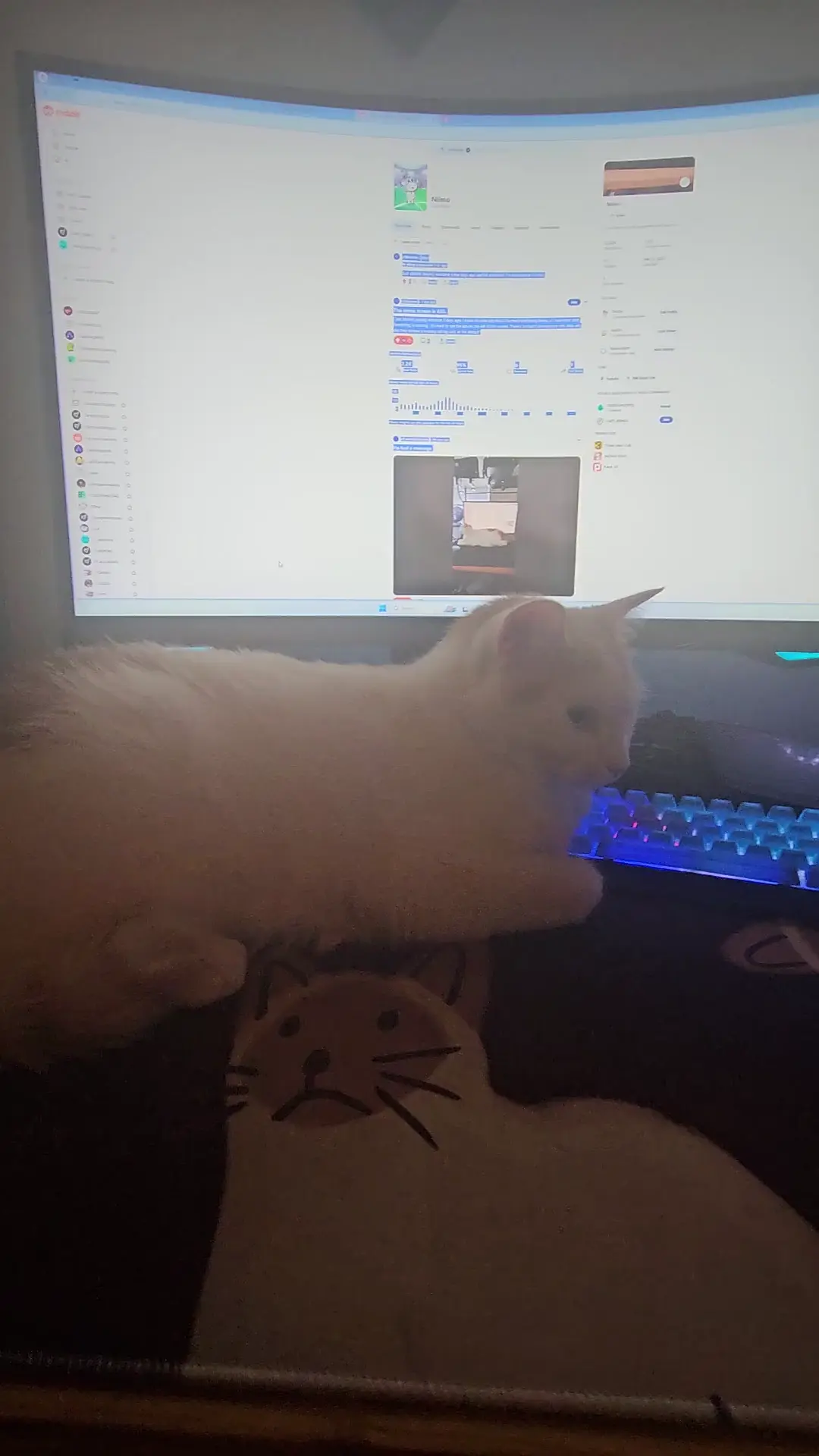 Cat Ctrl+Mwheel