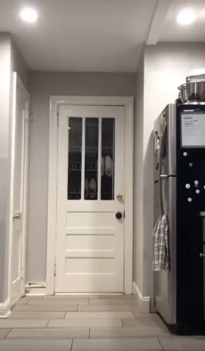 Cat not like wall