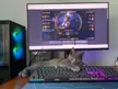 Cat on keyboard