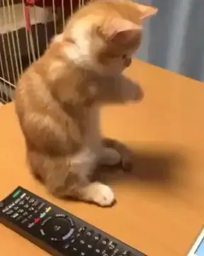 Catching the fishy