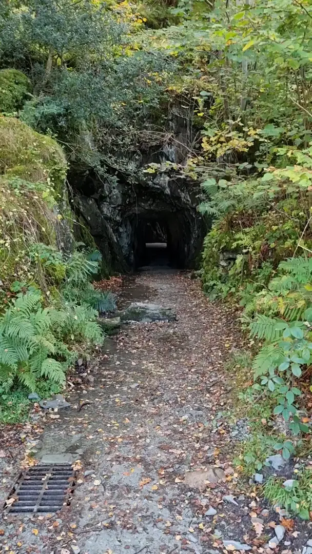Cave cathedral