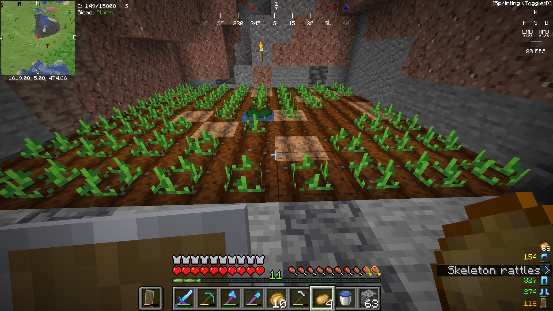 Why can I not plant potatoes on the empty plots? | Scrolller