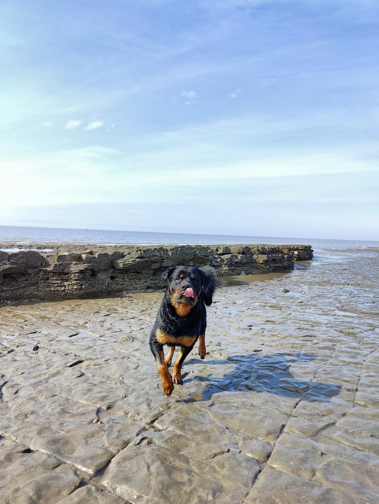 Gotta enjoy these stones