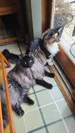 Bird watching bros.