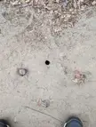 A tight hole on the forest ground