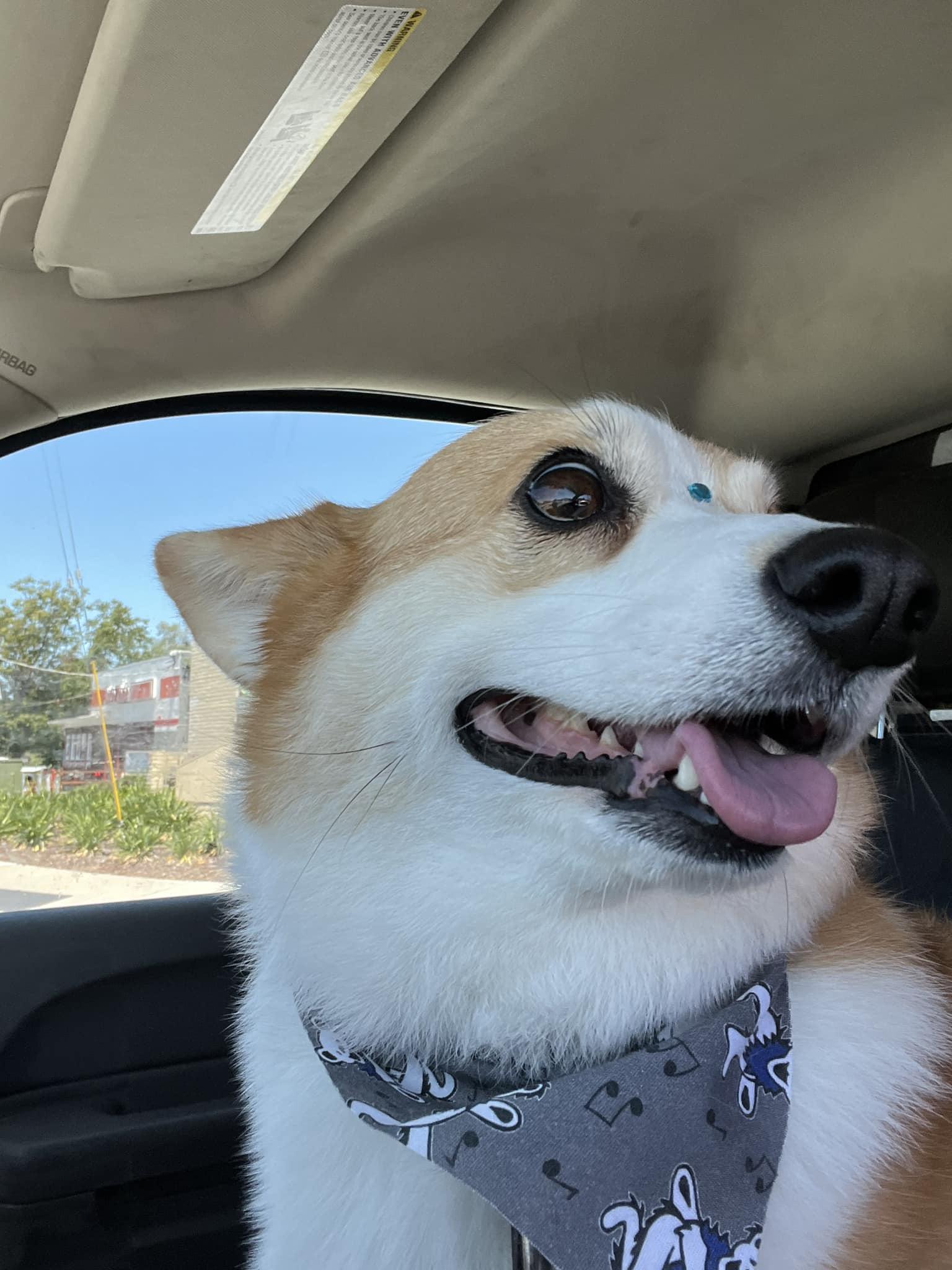 Look who just got groomed!