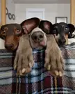 Who turned off the lights?
