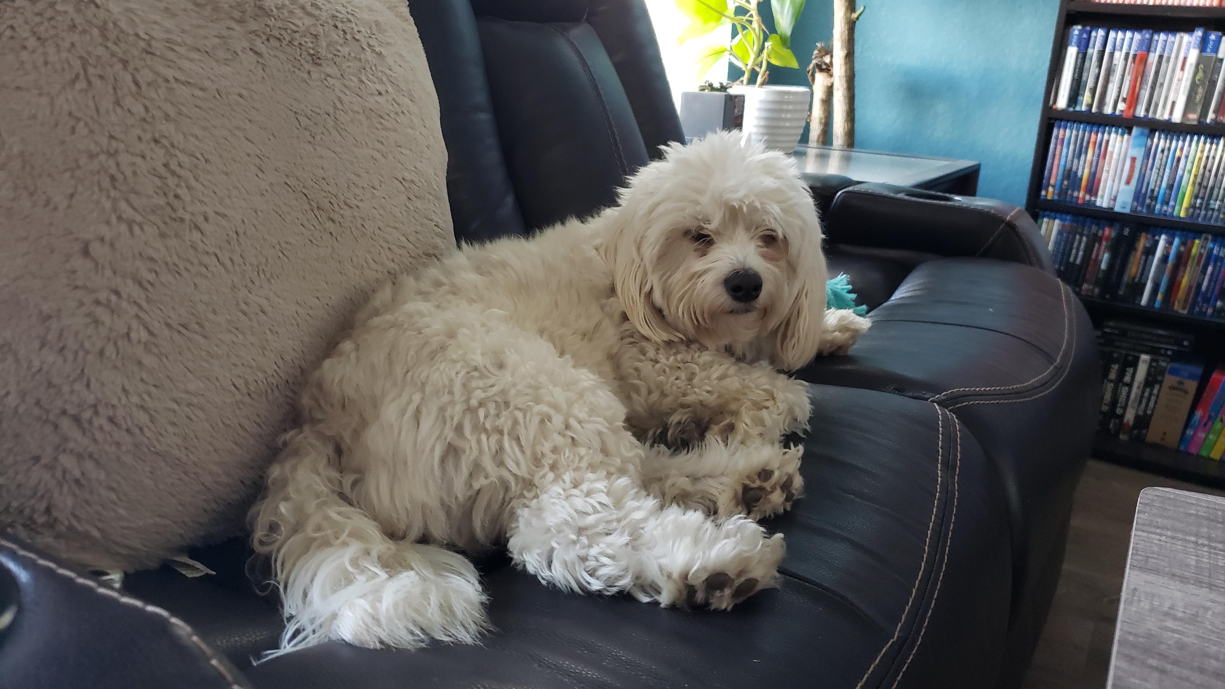 Dad had to clean my poopy butt and now I'm mad.