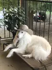 Yee (and I cannot stress this enough) haw