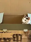 "for me?"