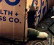 (movie announcer voice) "It CAME... From inside the BOX..."
