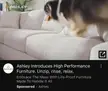 how did nobody see this