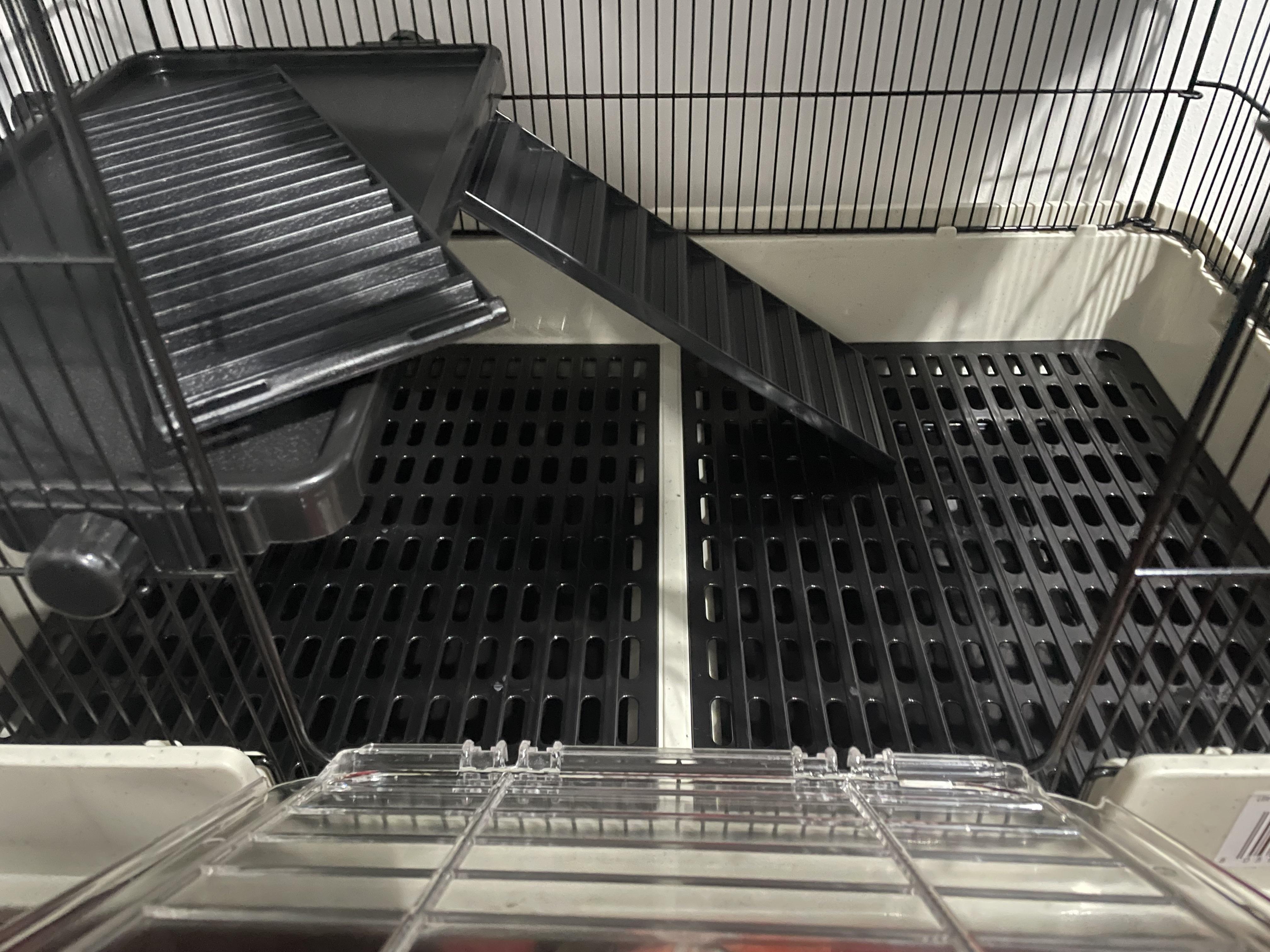 Bedding/substrate help!