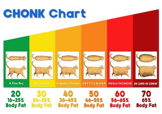 Does anyone know if there's a rat version of the chonk chart