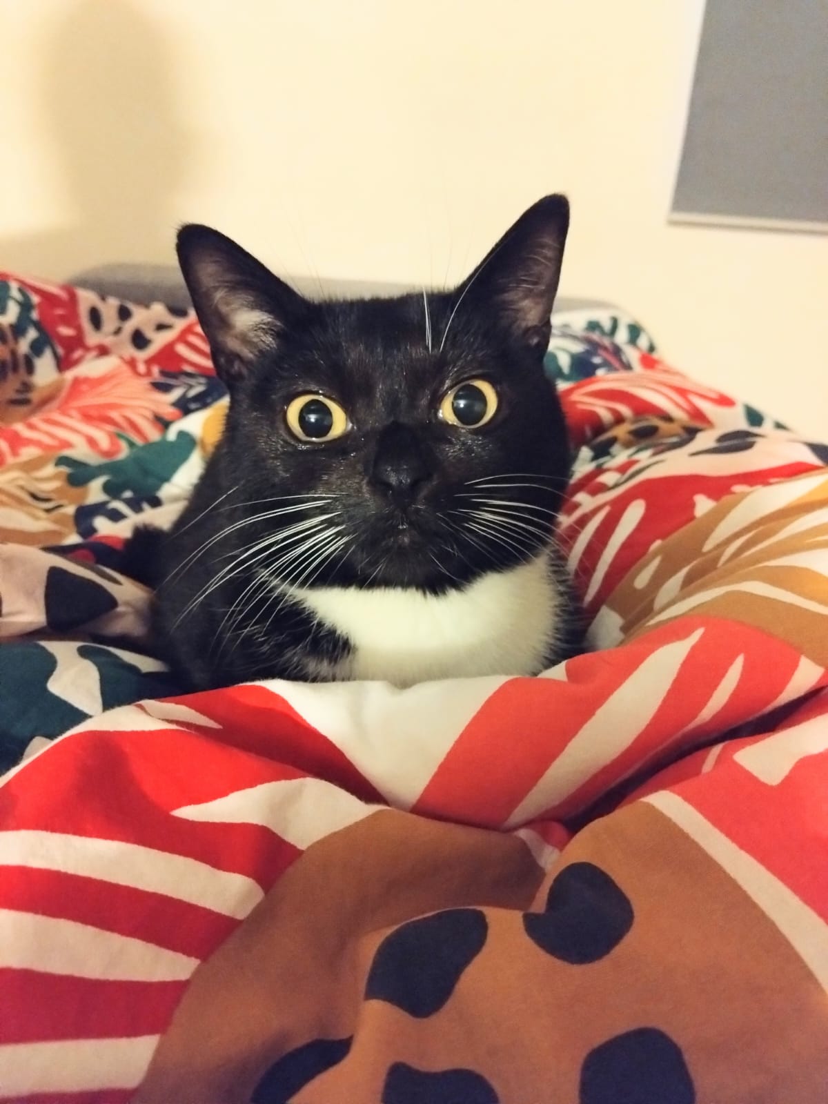 When I wake up and feel instantly judged
