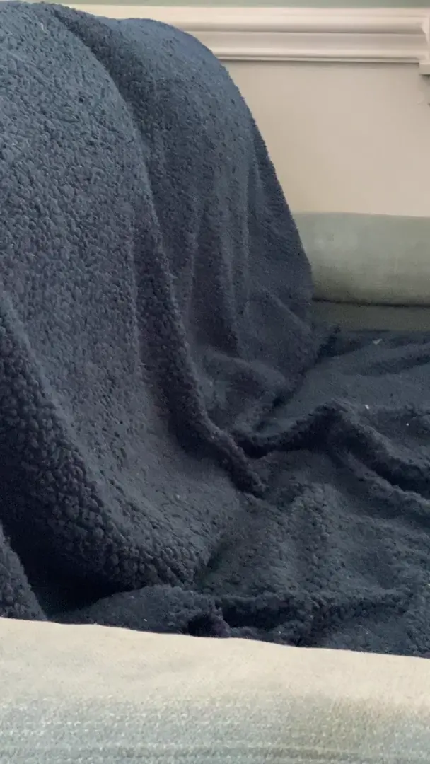 Celery the longcat threading the dimensional needle