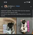A big dump of cat memes
