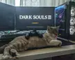 Check out my cat Jabroni chillin' on my controller rest, it's a sweet touch to my setup, right?