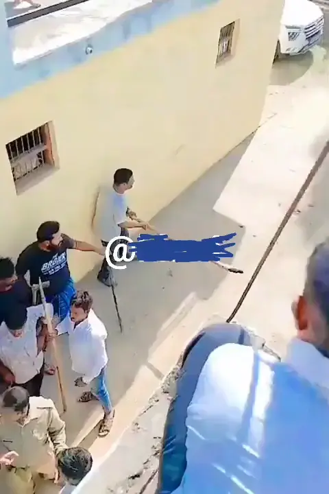 Cheetah attacks humans and humans fight back