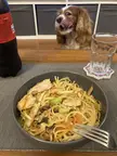 Chicken chow mein
