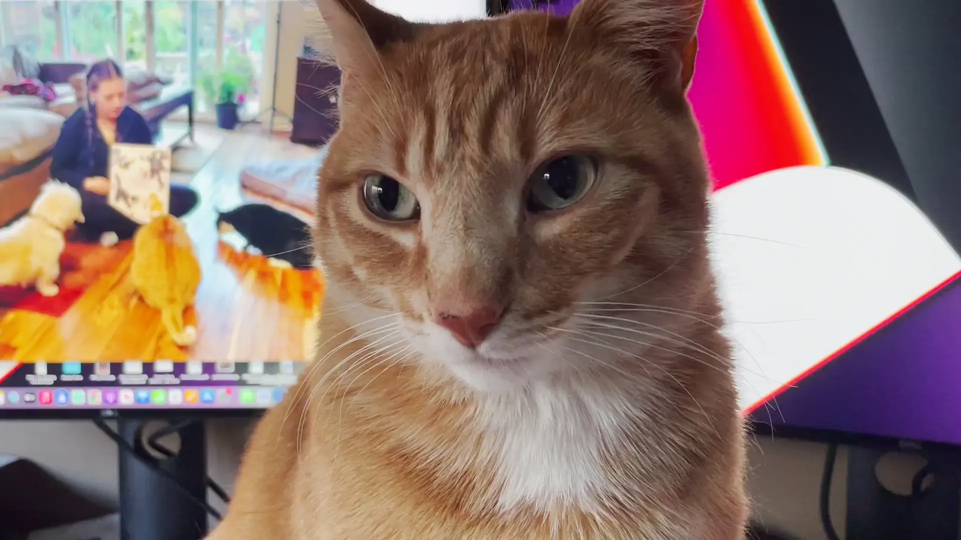 christmas-day-contentment-scrolller