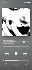 sonicyouth