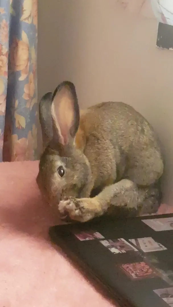 cleaning them toes