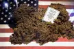 Colombian Gold 1977