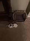 Come on, girl