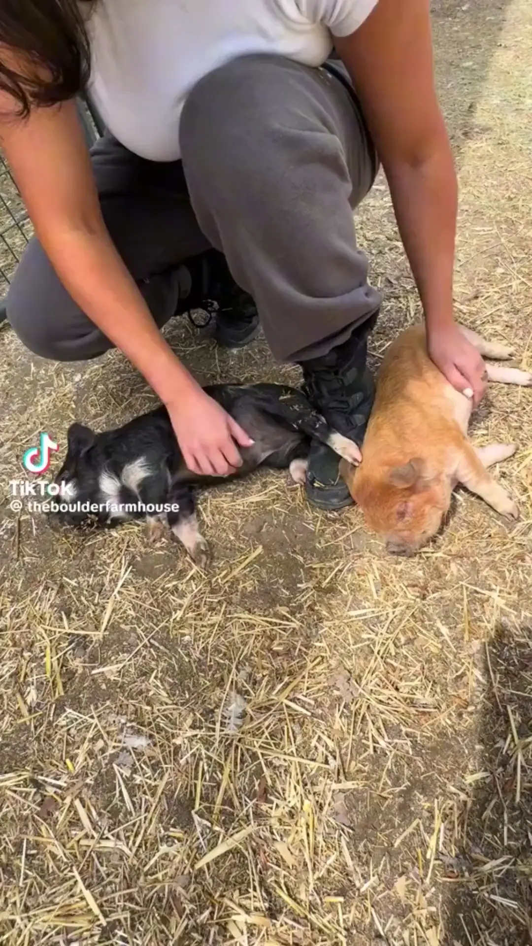 corporate needs you to find the difference between these two videos