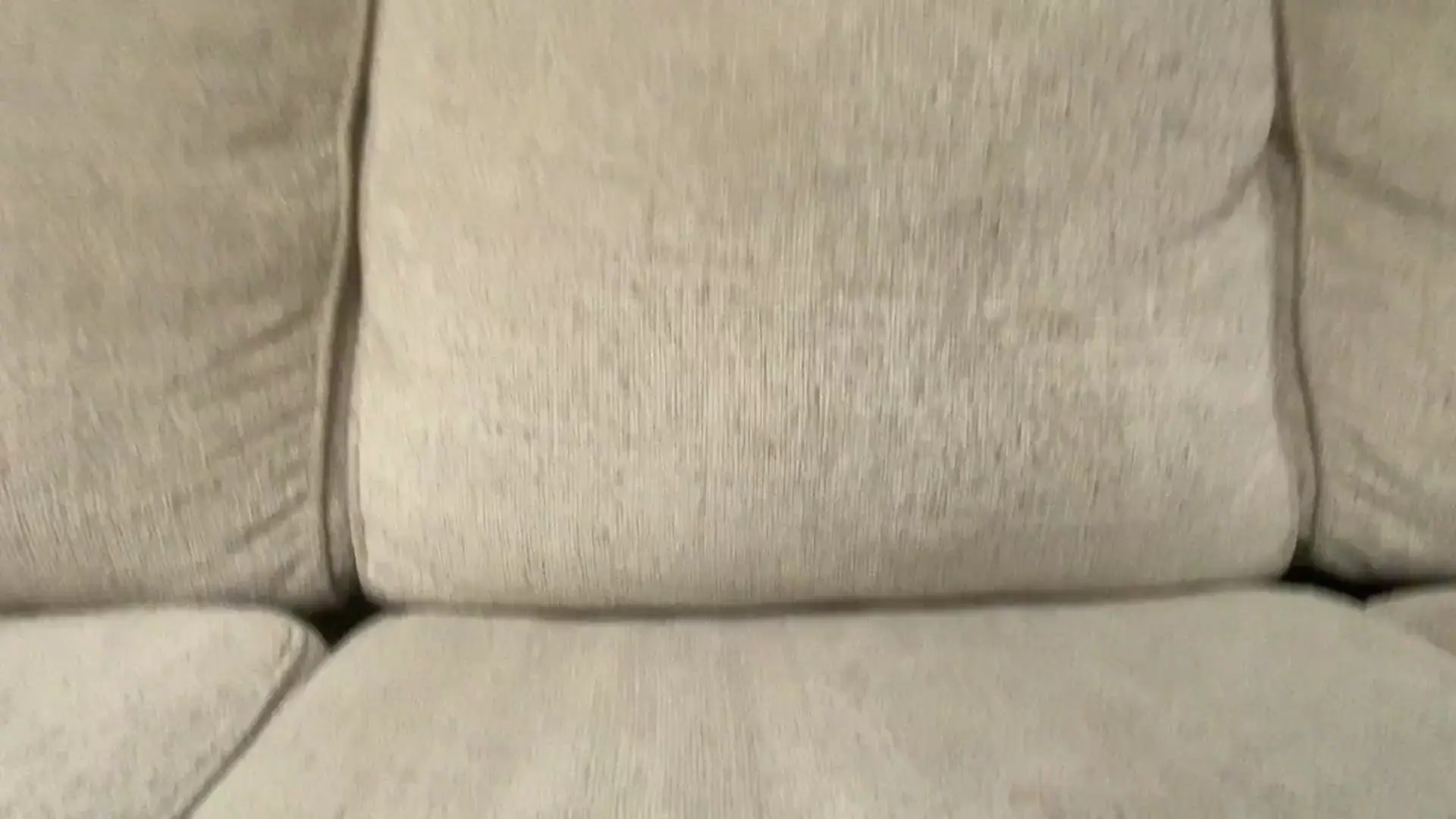 Couch burrow in action!